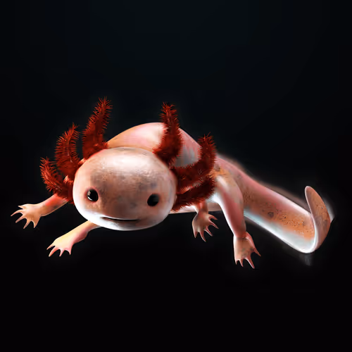 Item #39982110375740153587505644478940195082872270202471884348459982322822102908929 Media