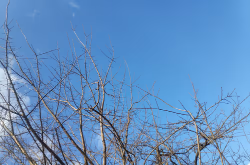 Item #87101312680793949185913621033399323976812514449934998567589402400508734341121 Media