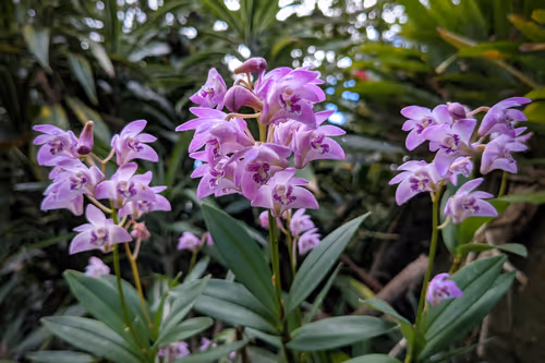 Item #39075669952795110311488058078452160275975432518977374571902800565138716884993 Media