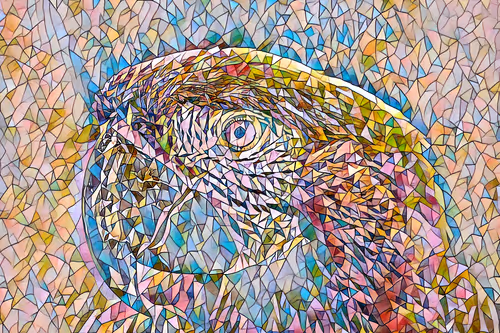 Item #45454897768330312050306327593764042770009243947436545053610604848752768319588 Media