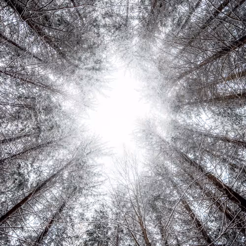 Untitled Collection #39691319