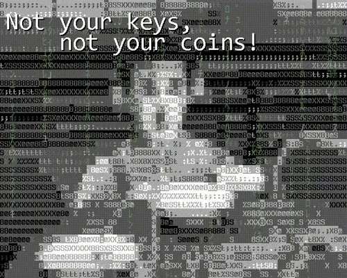 Not your keys, not your coins! #00_12_38