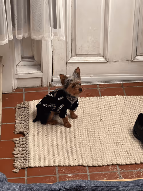 Item #88066140528539479869456014744410398514327997074780151392509103646537102131201 Media