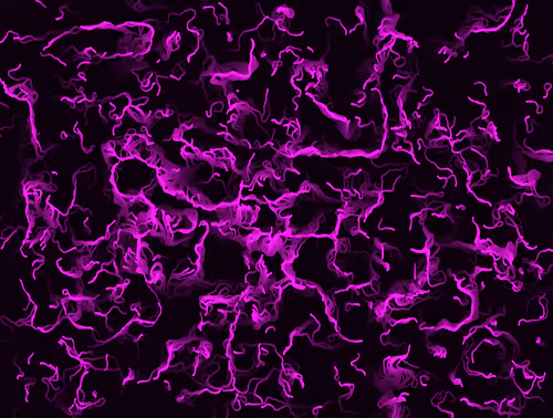 Item #18188641774722569462862161612624599961987570964687117327932822797094242746369 Media