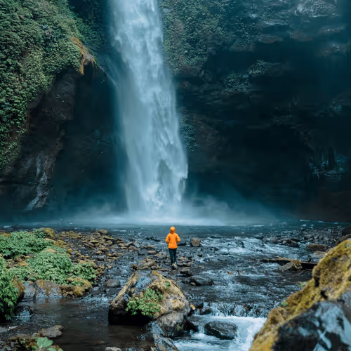 Item #33959663914865537073803252750365082075040924714137999346263629555800330993665 Media