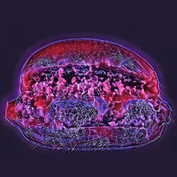 103021099077614825187577421930856695141498909813172536276445923574227245465601