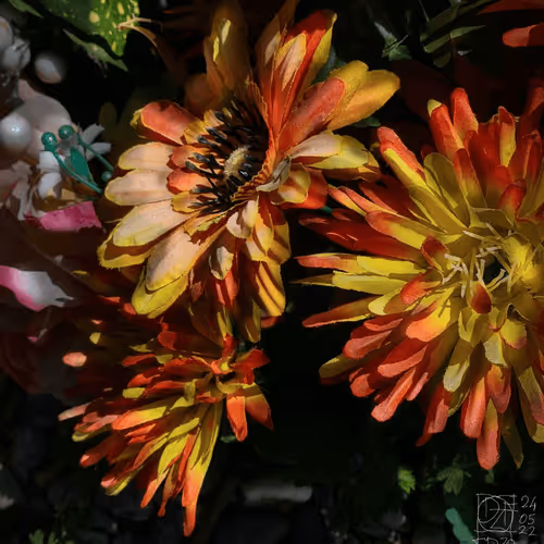 Item #72870681437103033302534611650972968841955188837135075508560703129114495680513 Media