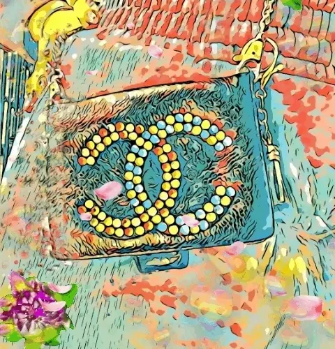 CC Belt Bag 2