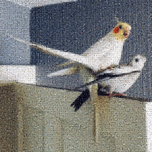 Item #82712815971244092813465389762182899895907359824221698107808348035641243598849 Media