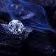 Untitled Collection #45375457