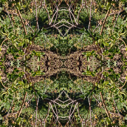 Item #40134337942179031384639783644882625195873534409993277377013701868782054539265 Media