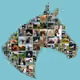 41462631241806899245975872131027530707681054498741750979270365233012472283137
