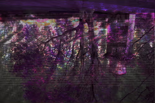 Untitled Collection #449219622