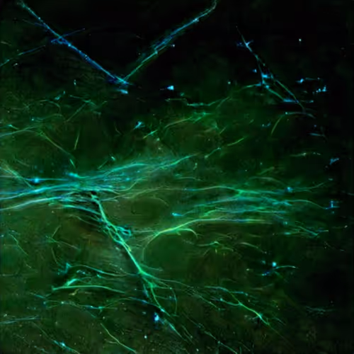 Item #99383328033969240903652945455654797110023687405378811514838542088954580041729 Media