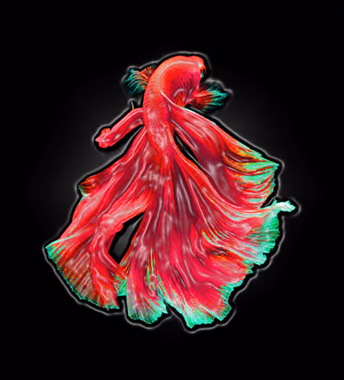 Item #73423654428024661336379470947819889295714855264791127270755008411593865166888 Media