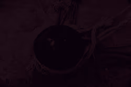 99206175731752603969632246751396839615347692654100145142238794213732665786369