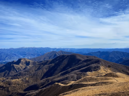 Item #36336170879608208403963751604494433054462935544758920663222913838481080844289 Media