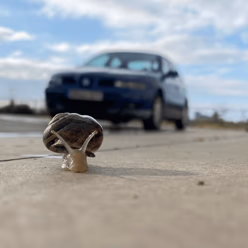 Untitled Collection #435932172