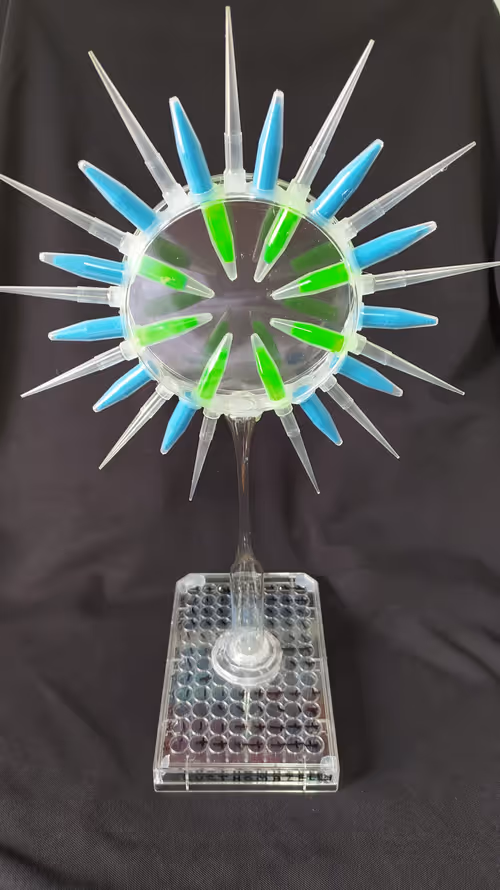 Item #108955583872739655741702358868652756405273862791069305959596897672020065517578 Media