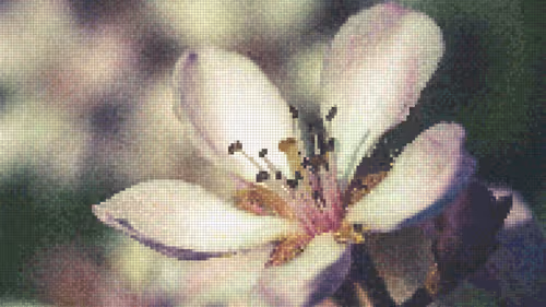 Item #75866091947728652238534111254584504918190435733442380629681527361446046859265 Media