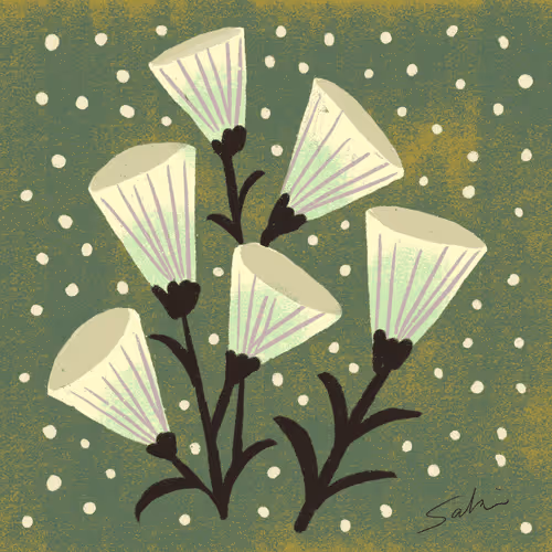 Item #56898952014518654300102404672114499914109688512494752998572573728961856536577 Media