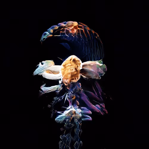 Item #93923887731966639760197662534300547726212510779526051617655967310716099100673 Media