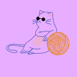 Cool cat