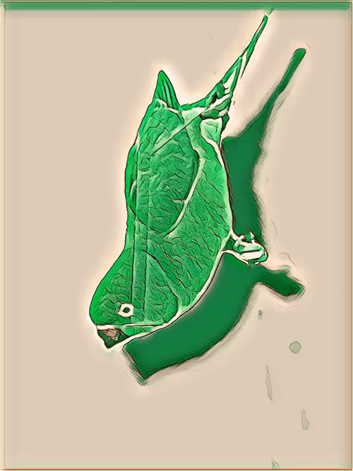 Item #104223747438996827402334393306322117808893391703647027998727742911504080437249 Media