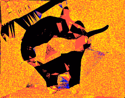 bored cat 035
