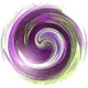 40256939852638929466435312724043867797354011105782276464432214880656256139265