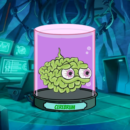 Heads In Jar S