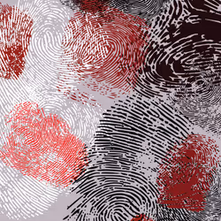 16099289534565677817009981985909100596642615095570704535402563140391542980609