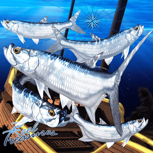 Item #16358223915897236256481237970257263359657688597887744572027777912812829933618 Media