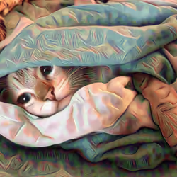 undercover cat