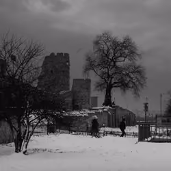 in the snow 