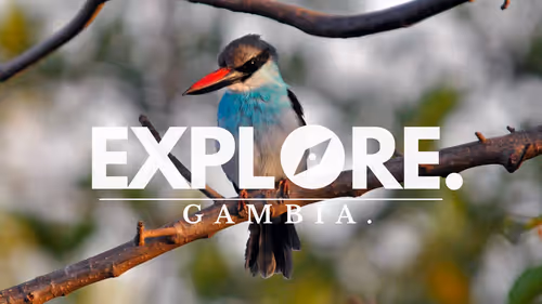 Item #55167293475857333829963200193227146355535503943447662520927477471967312871425 Media