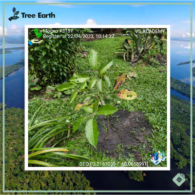 Item #8500196597889277390194123329501889087166328879864934763448349727514871988225 Media