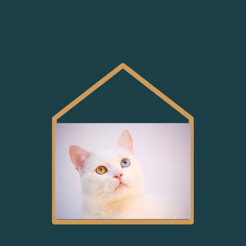 Item #39715165994332098220309573655078494657210728803068726884317351329536038404097 Media