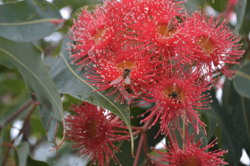 Item #78441717709132841672337201434207966233185463540697725534658746336861126393866 Media