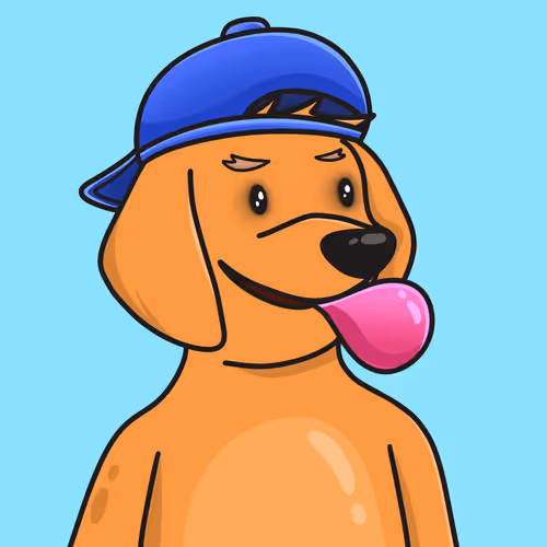 Untitled Collection #176528236