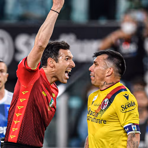 Untitled Collection #87699067