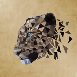 20896448118686648895018850071563603312663007578941629509204544152784693362689