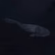73788490183614268462378126413555843777384862160728538808510502487146574643201