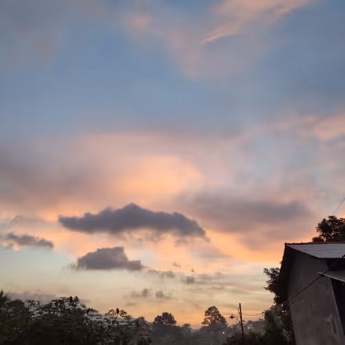 Untitled Collection #39546623