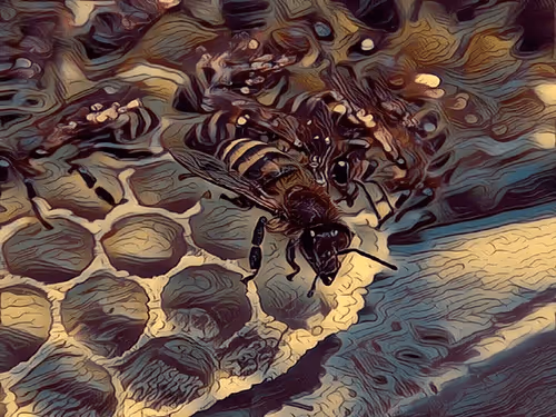 Item #101599579626109009666607068920778550362968334718480795982881728477063083458561 Media