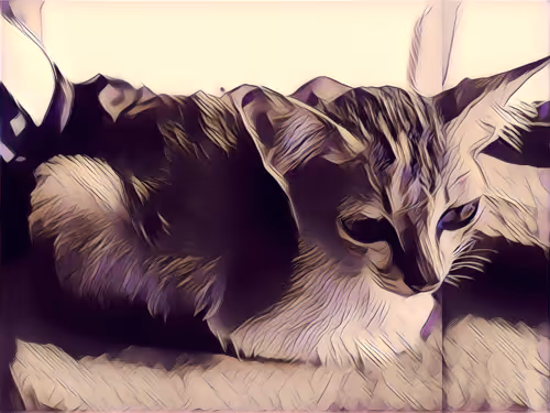 Item #74122138759525378795667626270866148487737655975912799548892275130246776225793 Media