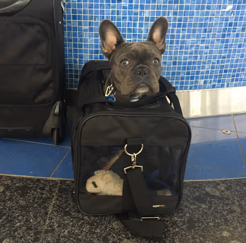 99031261785432219130552668818269695456905868997165113515571762409411184689153