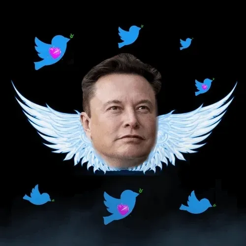 Item #34357385632342442623768313615226596177013830941644694671817060442151044775937 Media