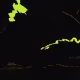 21022244131431862133039552538033155632715929697347039006782239031694182055937