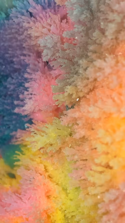 Item #103885025886889579792997648769749987524865297956163069988975955009244835610625 Media